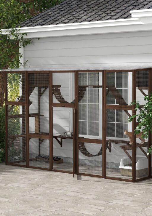 Large Outdoor Cat Enclosure for Multiple Cats with Shelves & Bridges, Coffee Brown