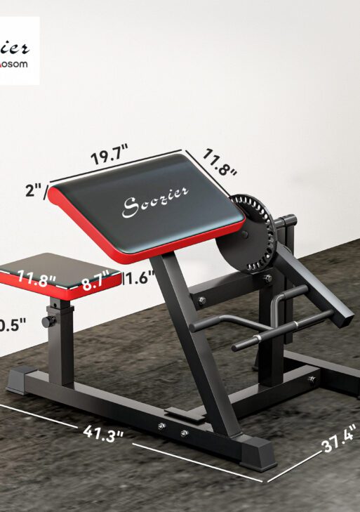 2-In-1 Bicep Preacher Curl Bench Bicep Curl Machine with Adjustable Seat and Elbow Cushion, for Home Gym Workout