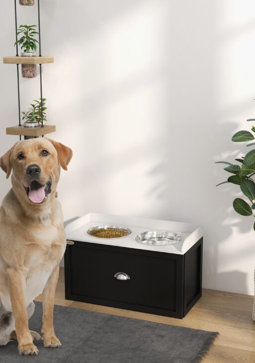 Pet Feeding Station Pet Dish Bowl Set with Storage, 2 Elevated Dog Bowls for Large Sized Dogs, White and Black