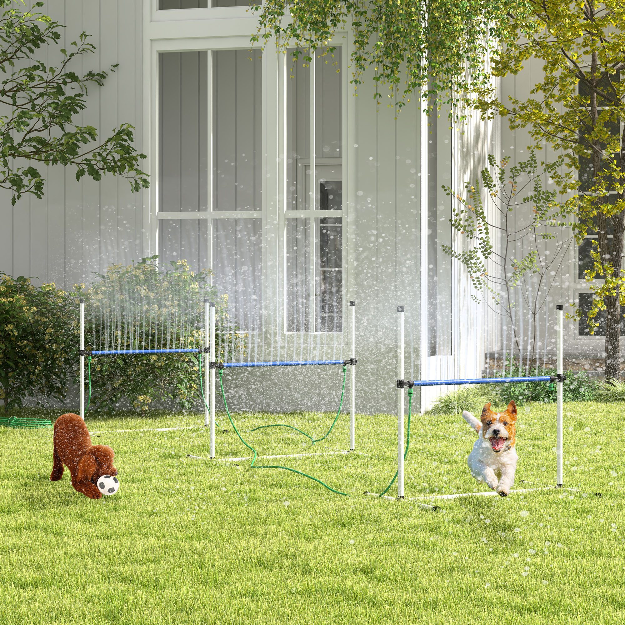 4pc Dog Agility Training Equipment Set with Spray Water Tube, White