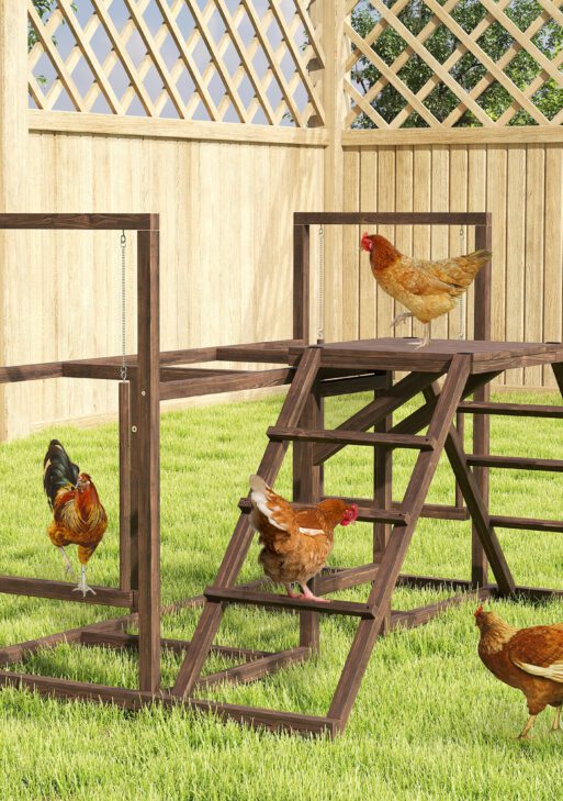 Chicken Activity Play Set with Multiple Chicken Perches, Swing, Ladder, Platform for 3-4 Chickens, Coffee