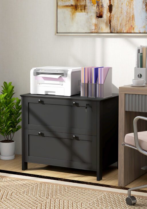 Lateral File Cabinet, 2 Drawer Filing Cabinet with Adjustable Hanging Bar for Letter, A4 and Legal Size, Black