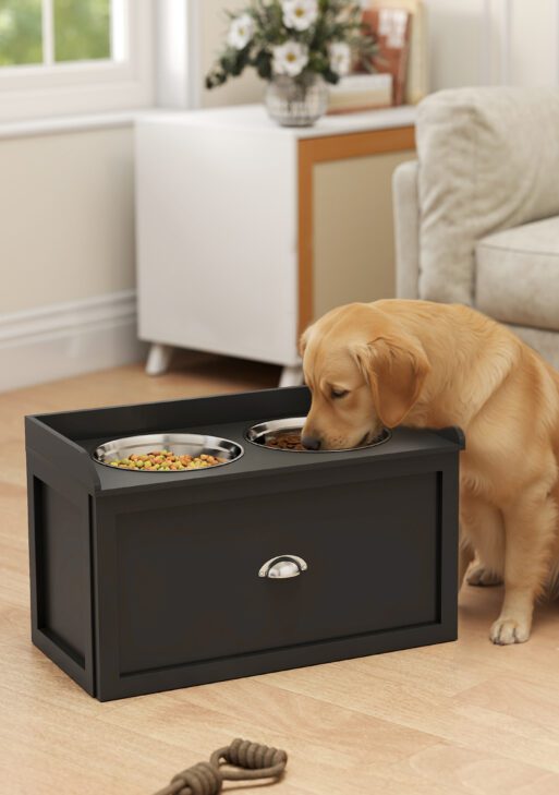 Pet Feeding Station Pet Dish Bowl Set with Storage, 2 Elevated Dog Bowls for Large Sized Dogs, Black