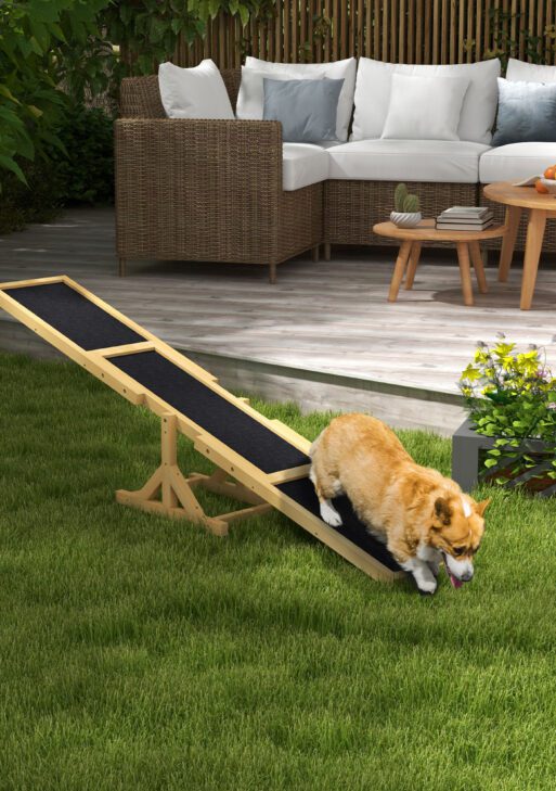 Wooden Dog Agility Seesaw for Training and Exercise, Yellow