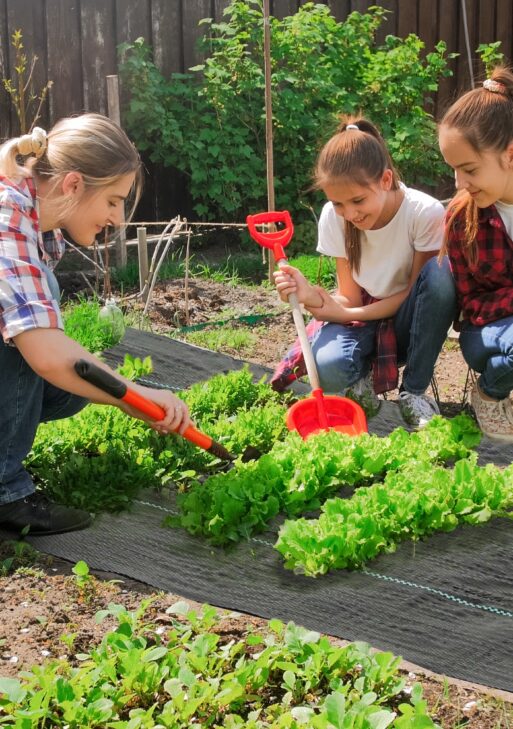 4FT x 300FT Weed Barrier Landscape Fabric, 5oz Heavy Duty Woven Weed Control Fabric for Landscaping