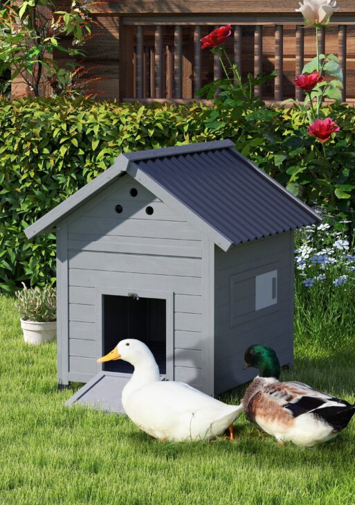 Duck Coop, Wooden Duck House with Openable Roof & Double Doors, Light Gray