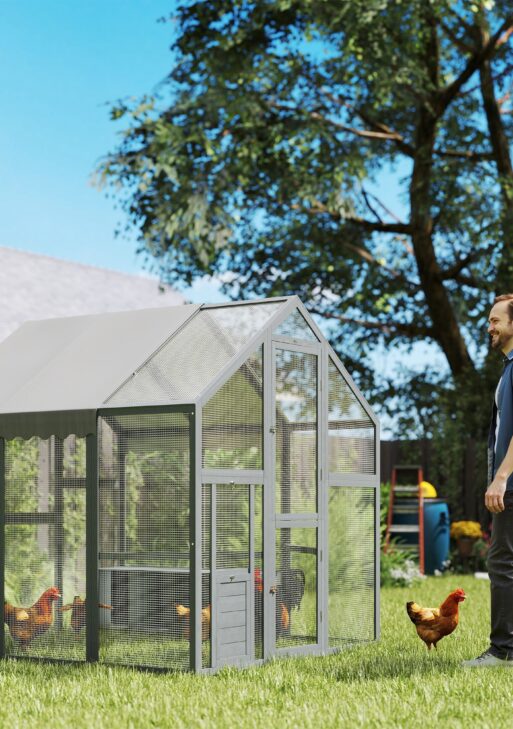 Large Wooden Chicken Run with Waterproof & Anti-UV Cover, for 6-8 Chickens, for Backyard, Farm, 5.5' x 6' x 6'