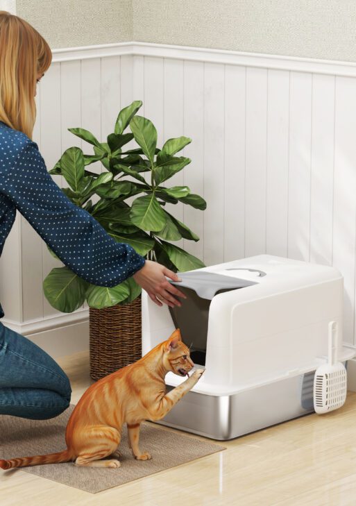 2 in 1 Stainless Steel Cat Litter Box with Removable Lid, Scoop, Filter Bags, for Small to Large Cats, White