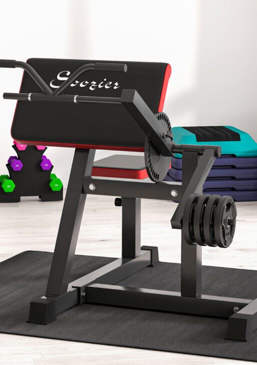 2-In-1 Bicep Preacher Curl Bench Bicep Curl Machine with Adjustable Seat and Elbow Cushion, for Home Gym Workout