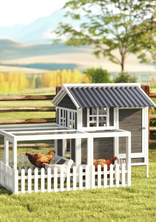 Wooden Chicken Coop with Run for 1-2 Chickens, 68" x 59" x 42"