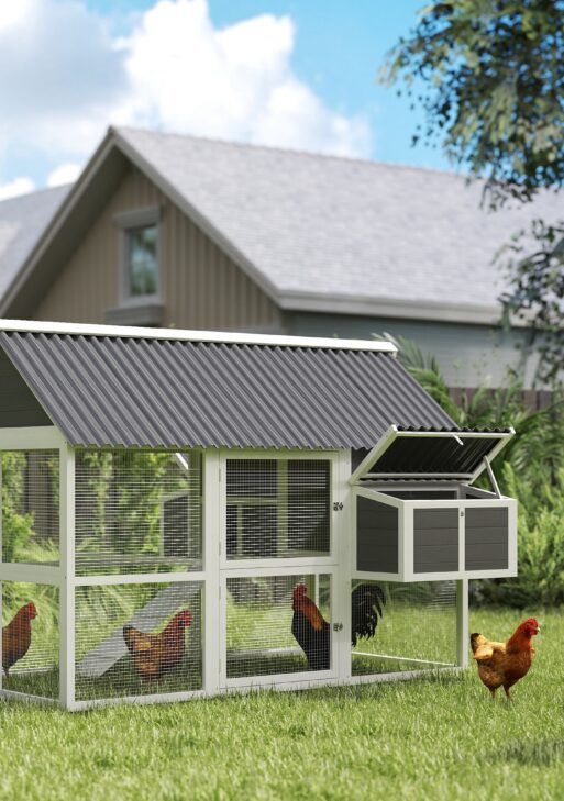 Wooden Chicken Coop with Run, 2 Nesting Boxes, 2 Roosting Bars, Ramp & Tray, Poultry Cage for 6-8 Chickens, Gray